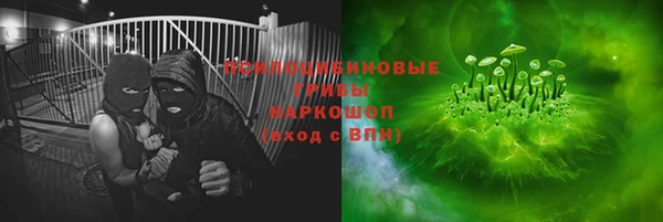 мяу мяу мука Аркадак